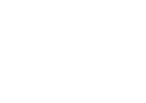 delta inžinjering